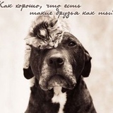 Натали Подборская, 52 года, Енакиево