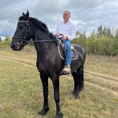 Алексей Зиганшин, Череповец