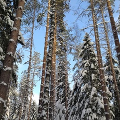 Анастасия Кази, Санкт-Петербург