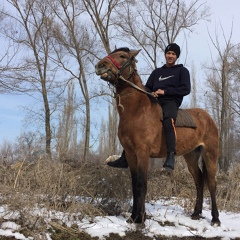 Алишер Алиев, 23 года, Алматы