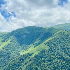 Лиана Берсанова, Москва