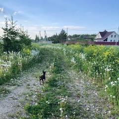 Ирина Пыжьянова, Санкт-Петербург