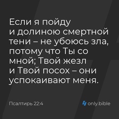 Алексей Тимофеев, 40 лет, Екатеринбург