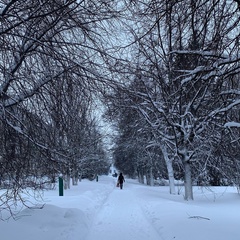 Настасия Лександрова, 32 года, Москва