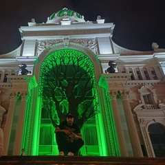 Александр Занин, 39 лет, Москва