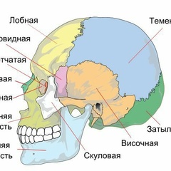 Шамиль Самигулин, 34 года, Москва