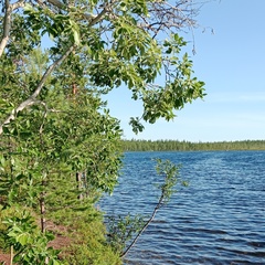 Татьяна Кузнецова, Мурманск