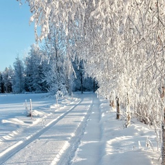 Алексей Емец, Пермь