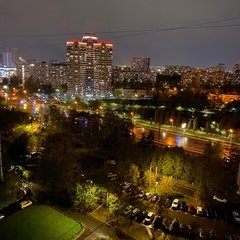 Светлана Митина, 40 лет, Москва