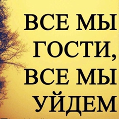 Шамиль Нурмагомедов, 36 лет, Москва