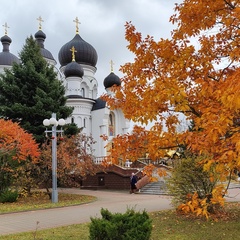 Ирина Т, Барановичи