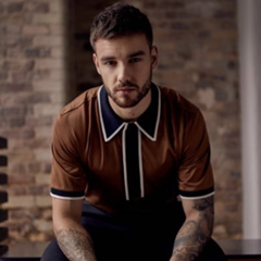 Liam Payne, 31 год, Wolverhampton