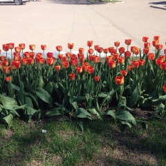 Светлана Горохова, Магнитогорск