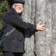 Сергей Михряков, 65 лет, Рени