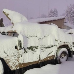 Санёк Ан, 34 года, Александрия