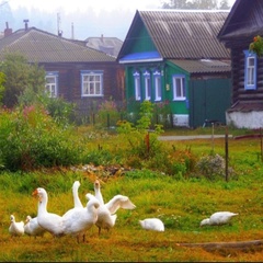 Аня Ярославская, Ярославль