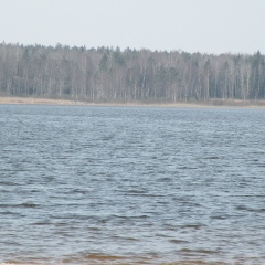 Ольга Лосева, Санкт-Петербург