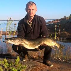 Сергей Ивановский, 43 года, Санкт-Петербург