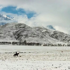 Bekjan Baike, Бишкек