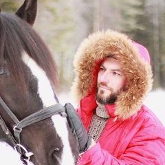 Сергей Быков, Вологда