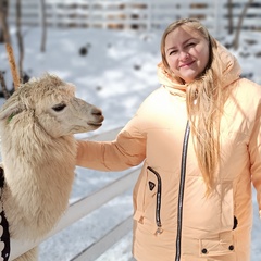 Елена Силаева, Симферополь