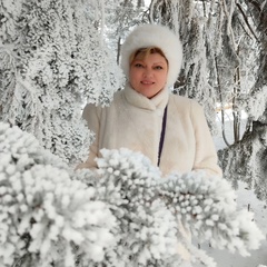 Елена Суслина, 51 год, Воронеж