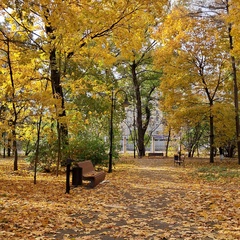 Антонина Блинова, 44 года, Москва