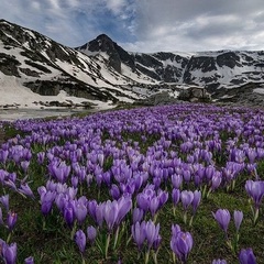 Наташа Серова, Череповец