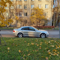 Владимир Трофимов, Санкт-Петербург