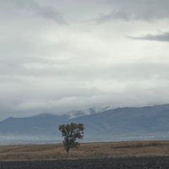 Оксана Кошжанова, Алматы