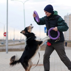 Andrey Losev, 34 года, Витебск