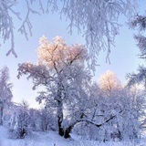 Александра Дубкова, Санкт-Петербург