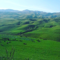 Abdusabyrbek Abdimamatov, Узген