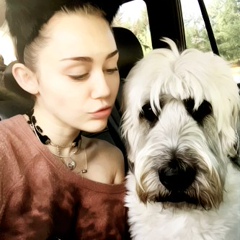 Miley-Ray Cyrus, 31 год, Los Angeles