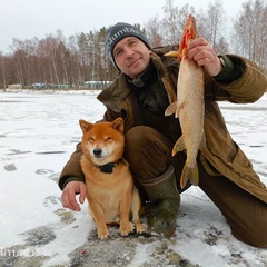 Иван Смелов, Рыбинск