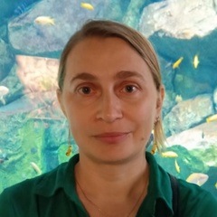 Елена Молодькова, 41 год, Москва