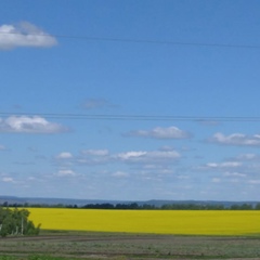 Светлана Попова, Красноярск