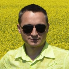 Сергей Карпов, Киев