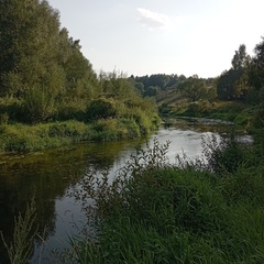 Алёна Цыганова, Москва