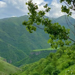 Гаджиев Агаммед, Баку