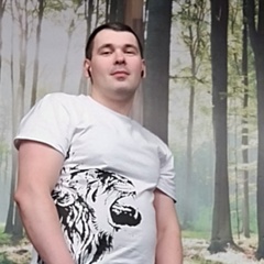 Дмитрий Кипель, 38 лет, Великий Новгород
