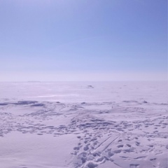 Евгений Журавлёв, Москва