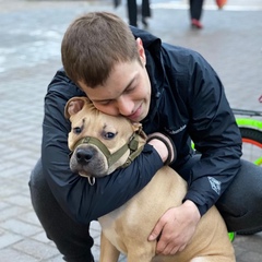 Сергей Журавлев, Воронеж