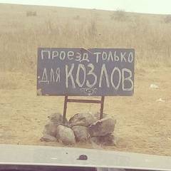 Макс П, Санкт-Петербург