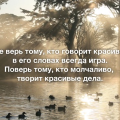 Антон Солодовников, 34 года, Харьков