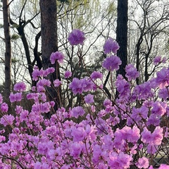 Дина Ким, Владивосток