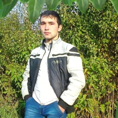 Alisher Husanov, 32 года, Ташкент