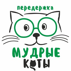 Мудрые Коты, Рязань