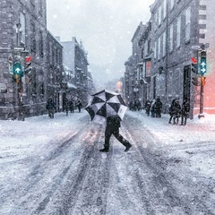 Харри Франк, Москва