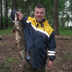 Александр Гуськов, Санкт-Петербург